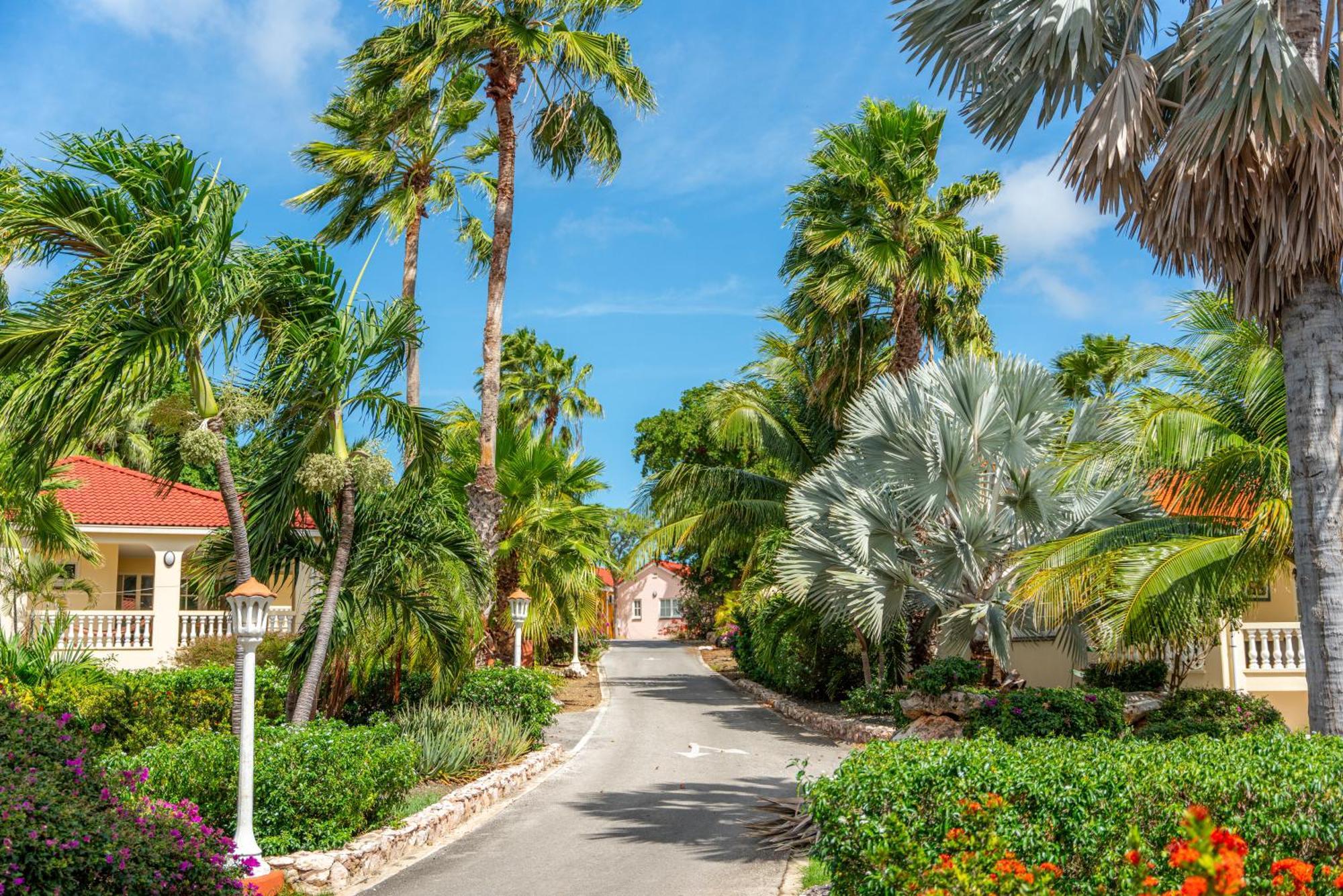 Livingstone Jan Thiel Resort Willemstad Bagian luar foto
