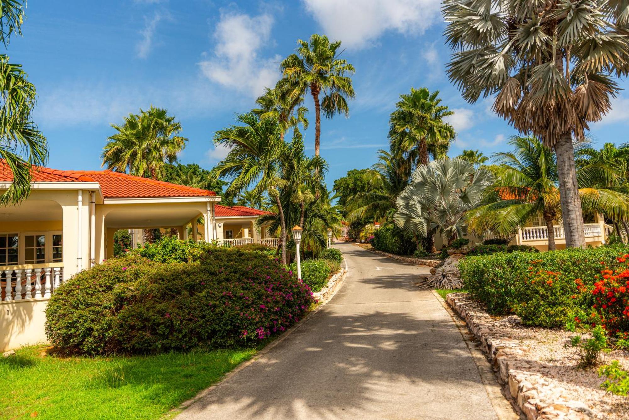 Livingstone Jan Thiel Resort Willemstad Bagian luar foto